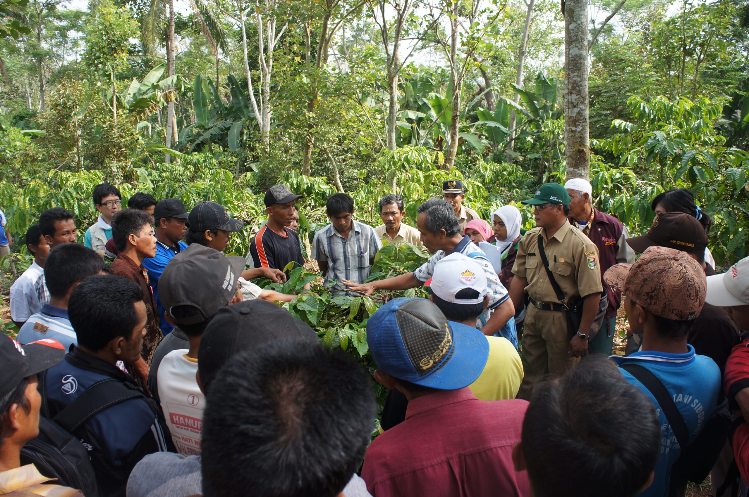 Sustainable farming training in Indonesia