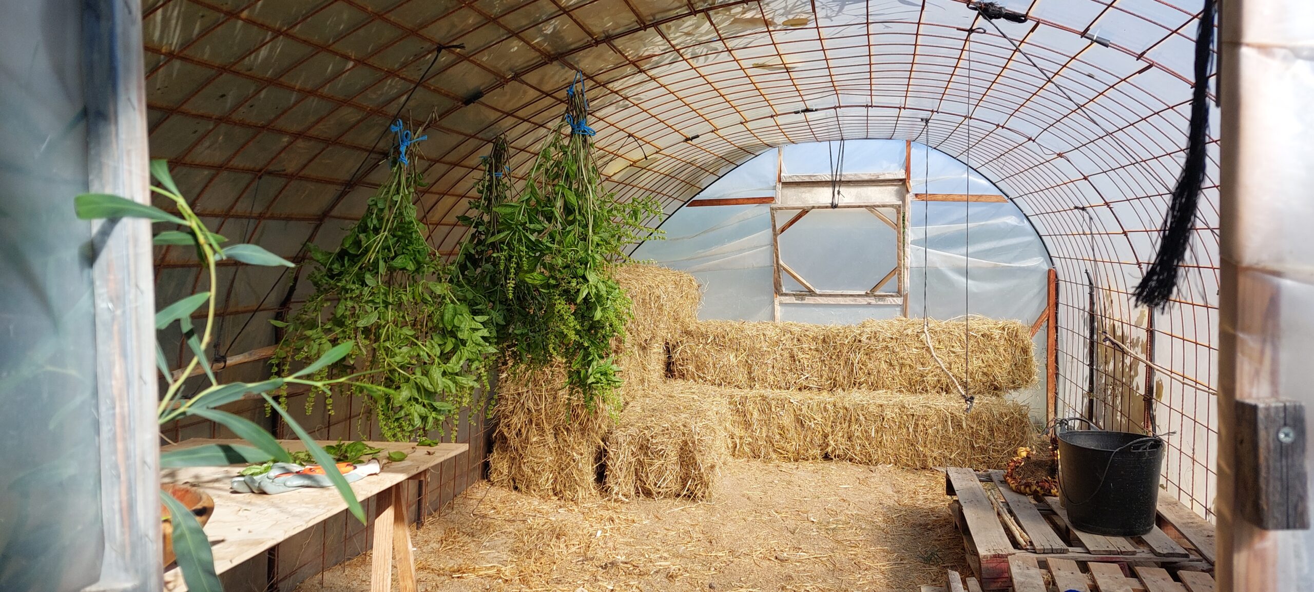 A picture from the inside of a small-scale farm