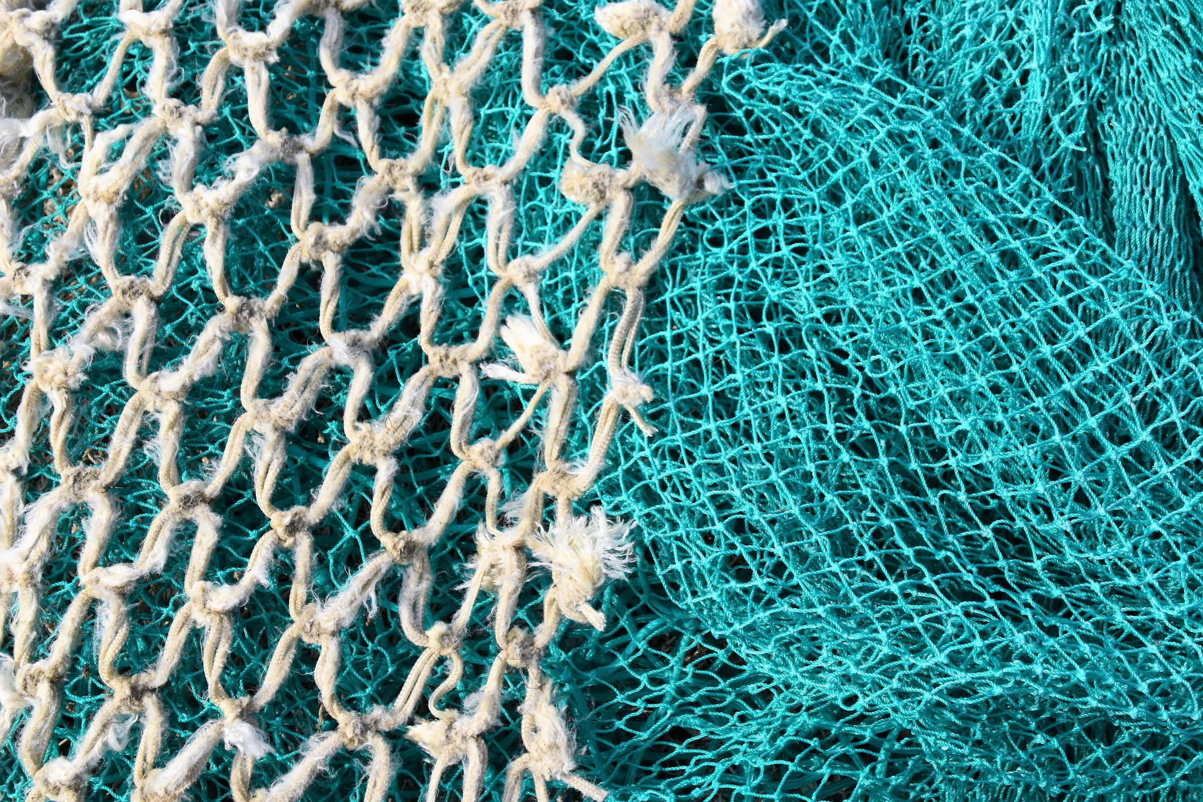 Lähikuva kahdesta erivärisestä kalaverkosta