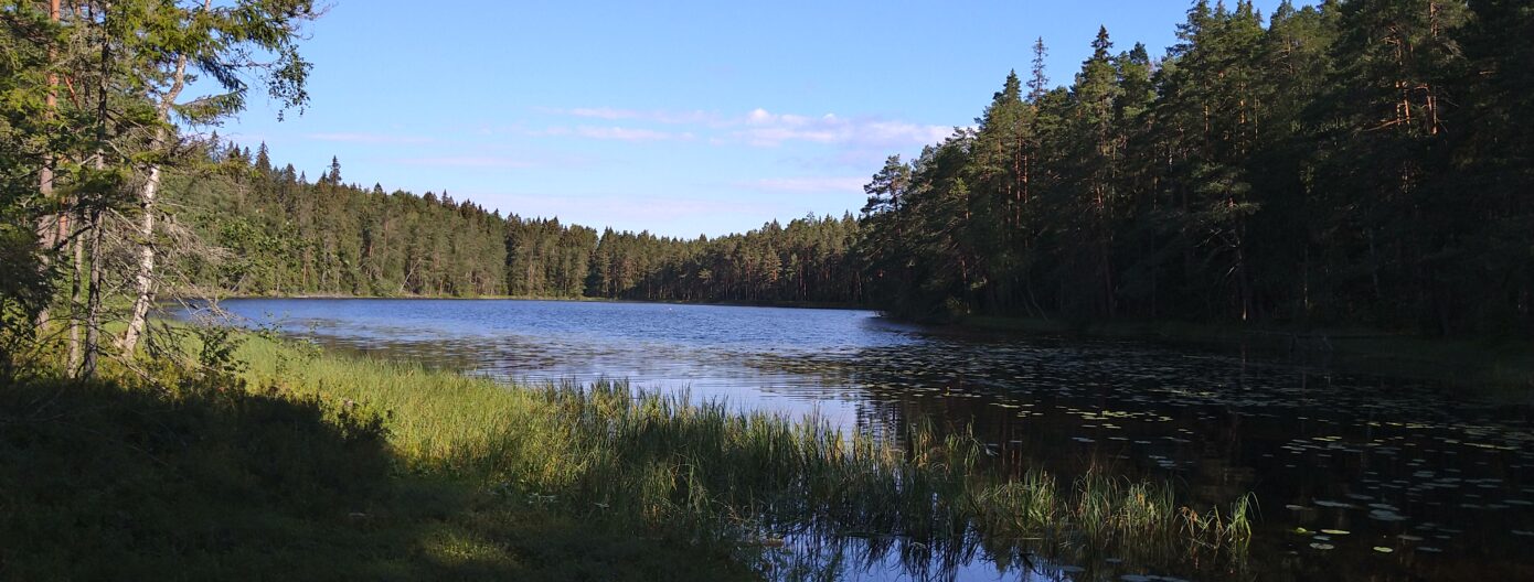 Suomen kesä, soutuvene ja taustalla järvi.